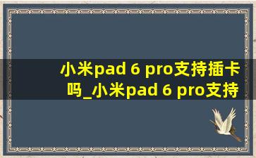 小米pad 6 pro支持插卡吗_小米pad 6 pro支持扩展内存吗